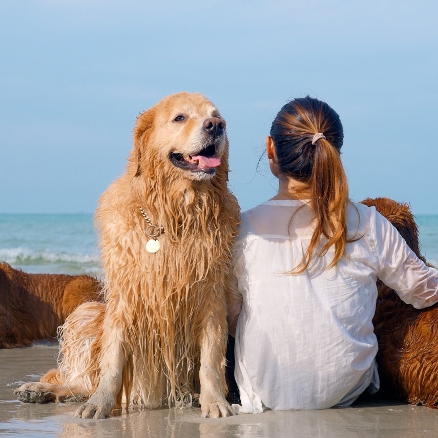 Placing the Chief Marketing Officer at AGILA in Germany