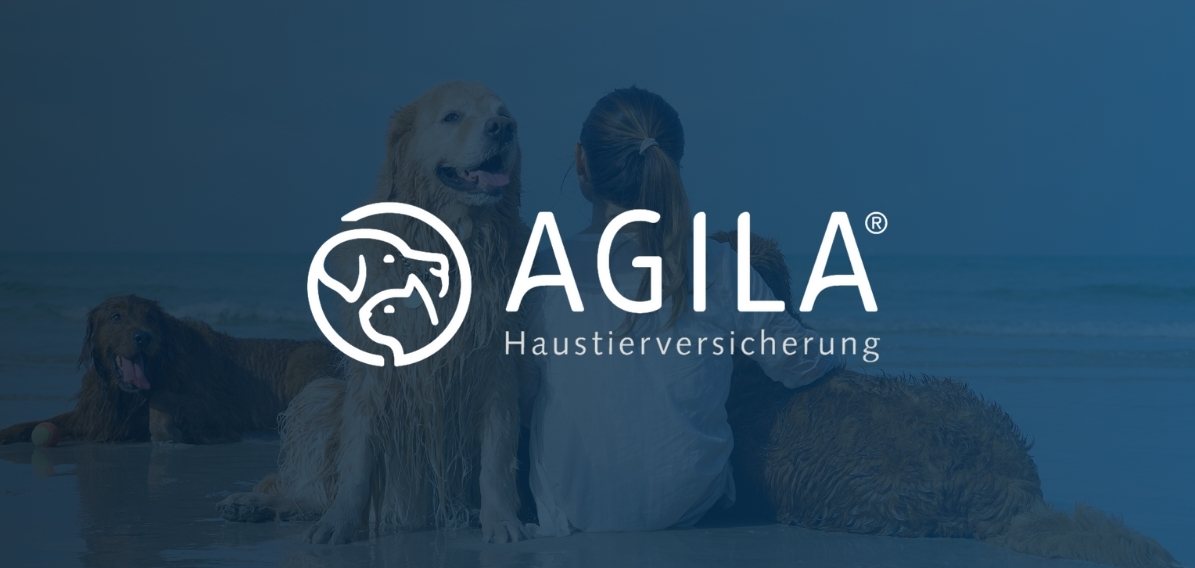 Placing the Chief Marketing Officer at AGILA in Germany