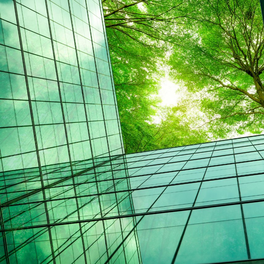 Securing top Marketing talent for Sustainable Investment firm Ambienta