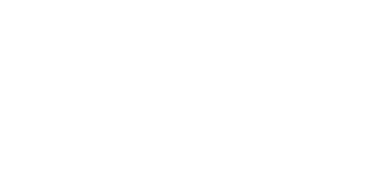 Placing the Marketing Director at Finatal