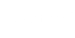 Technology and Consultancy recruiters place Senior Brand Marketer and Digital Channel Manager for Newton
