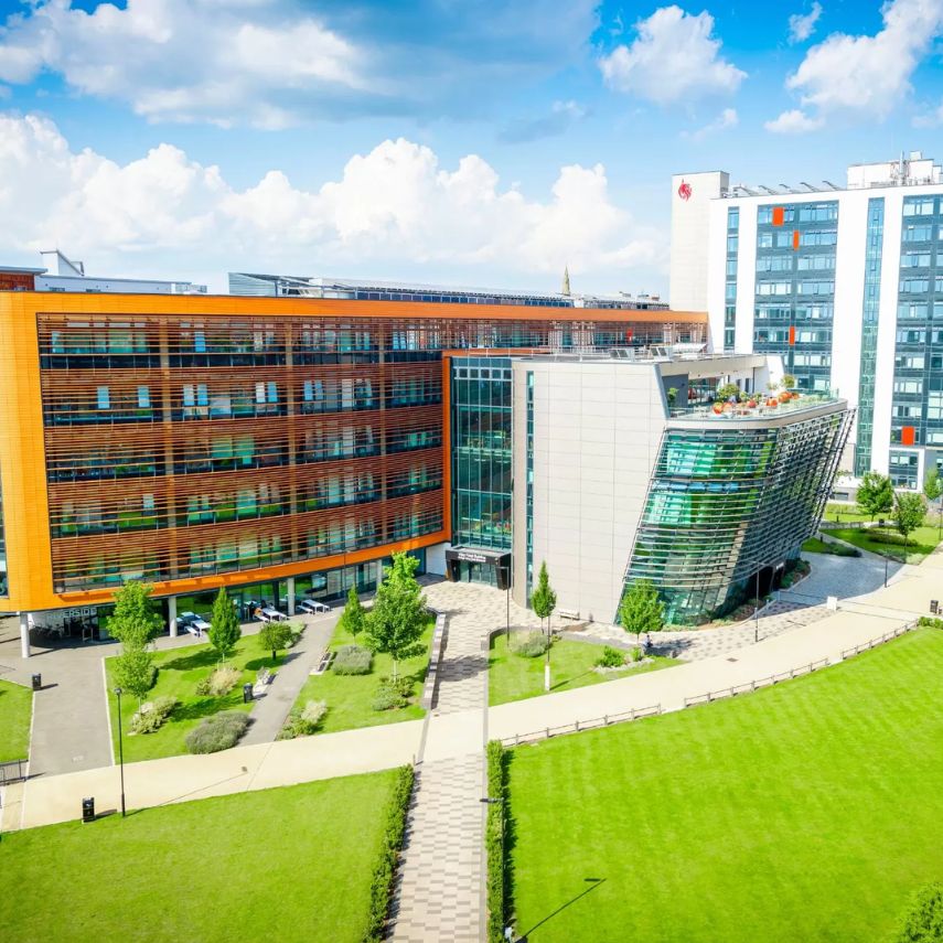 Placing the Global Marketing Officer at De Montfort University