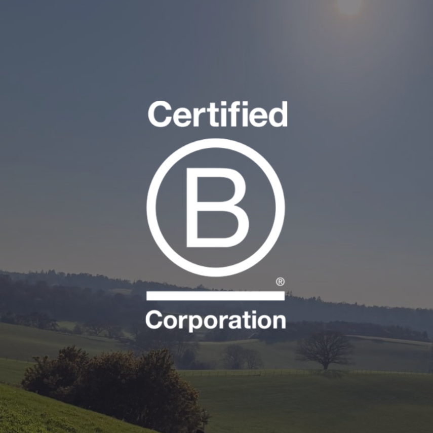 Celebrating B Corp Month 2026
